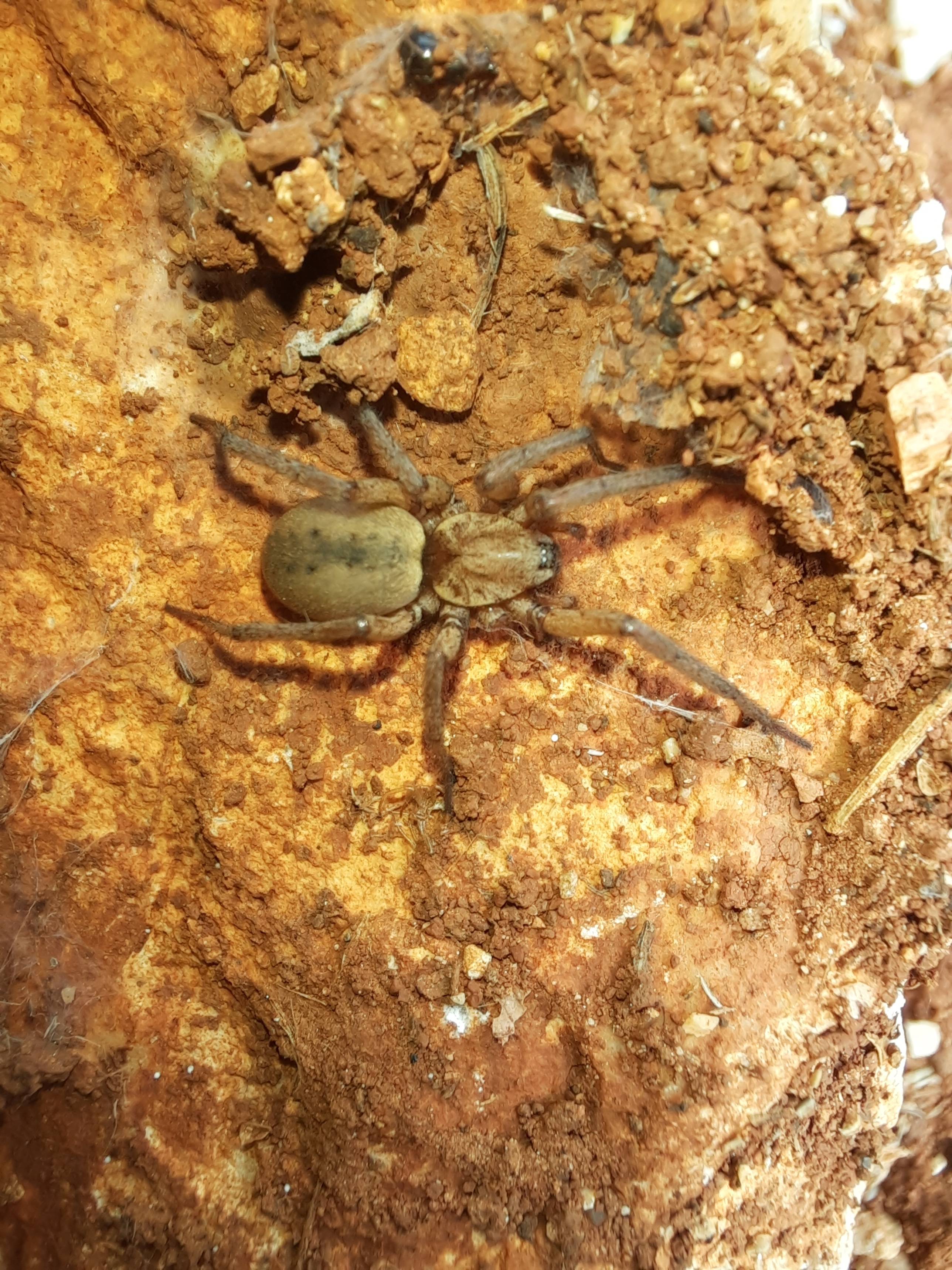 Faunareise Montenegro Impression 1