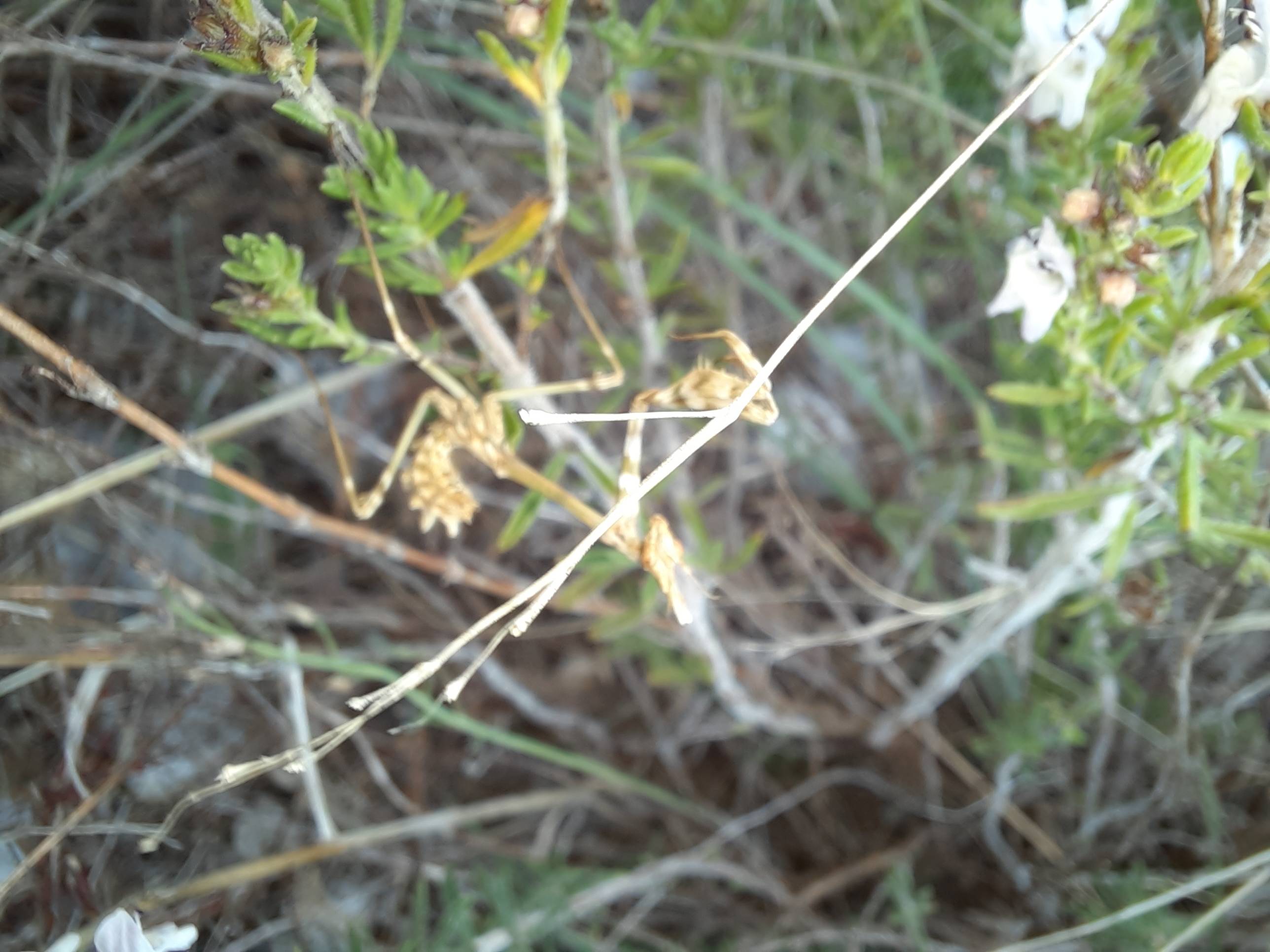 Faunareise Montenegro Impression 12