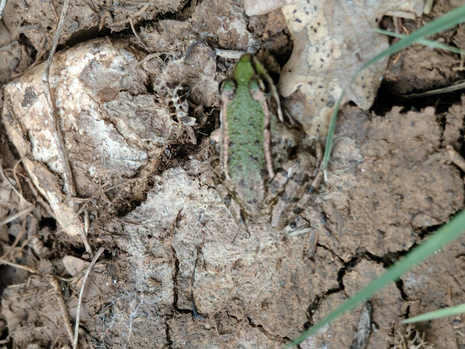 Faunareise Montenegro Impression 16