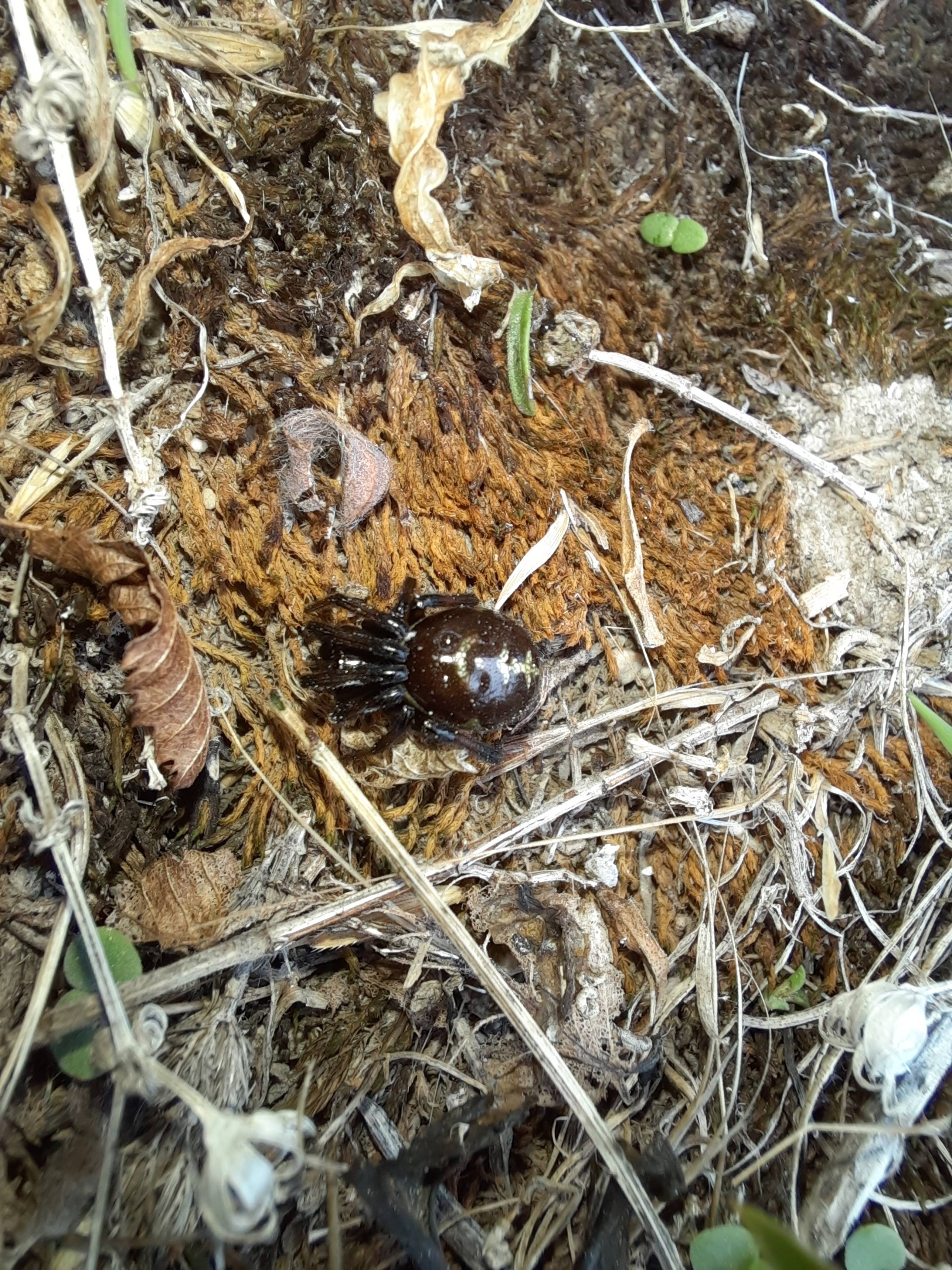 Faunareise Montenegro Impression 17