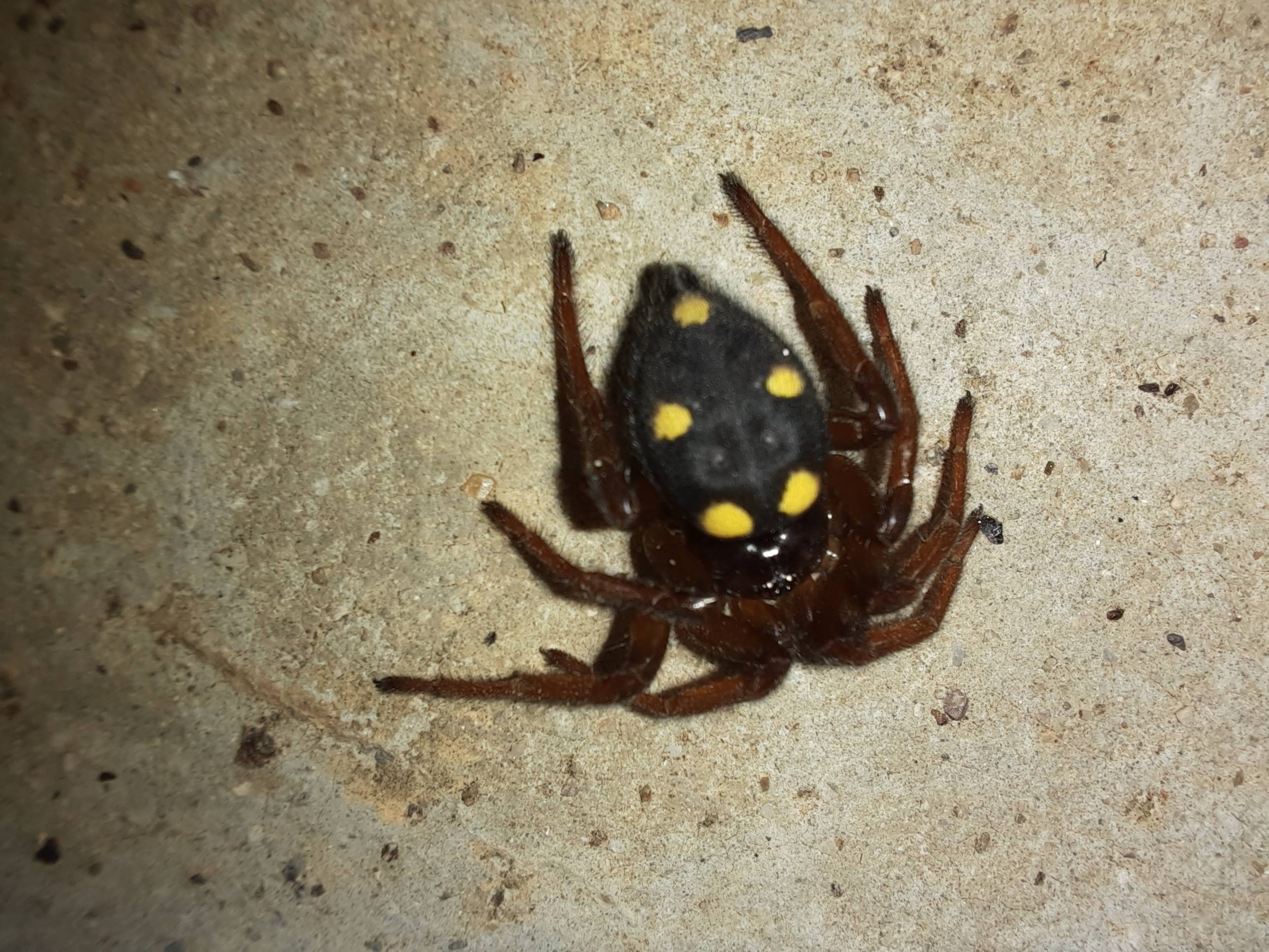 Faunareise Montenegro Impression 2