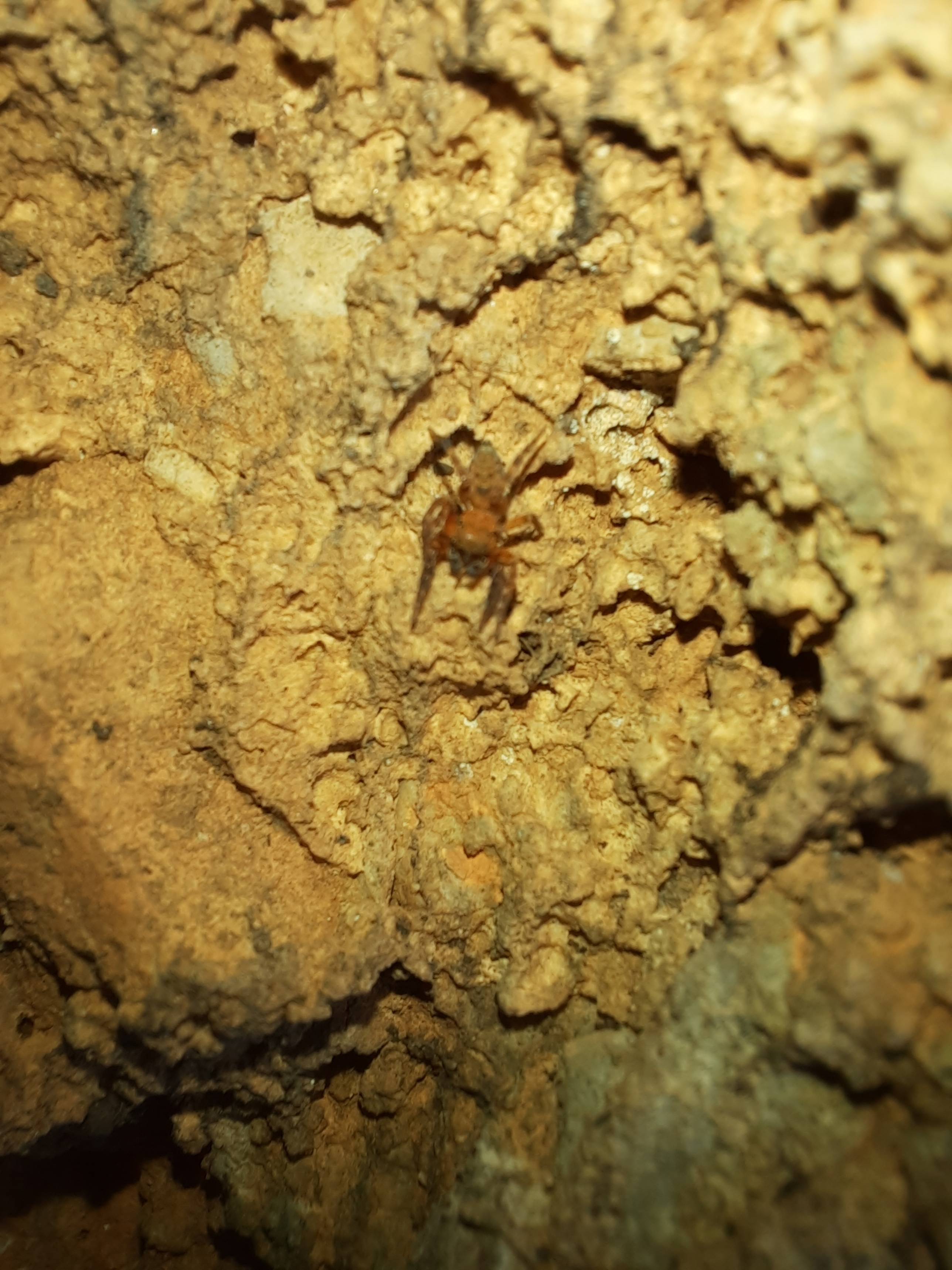 Faunareise Montenegro Impression 20