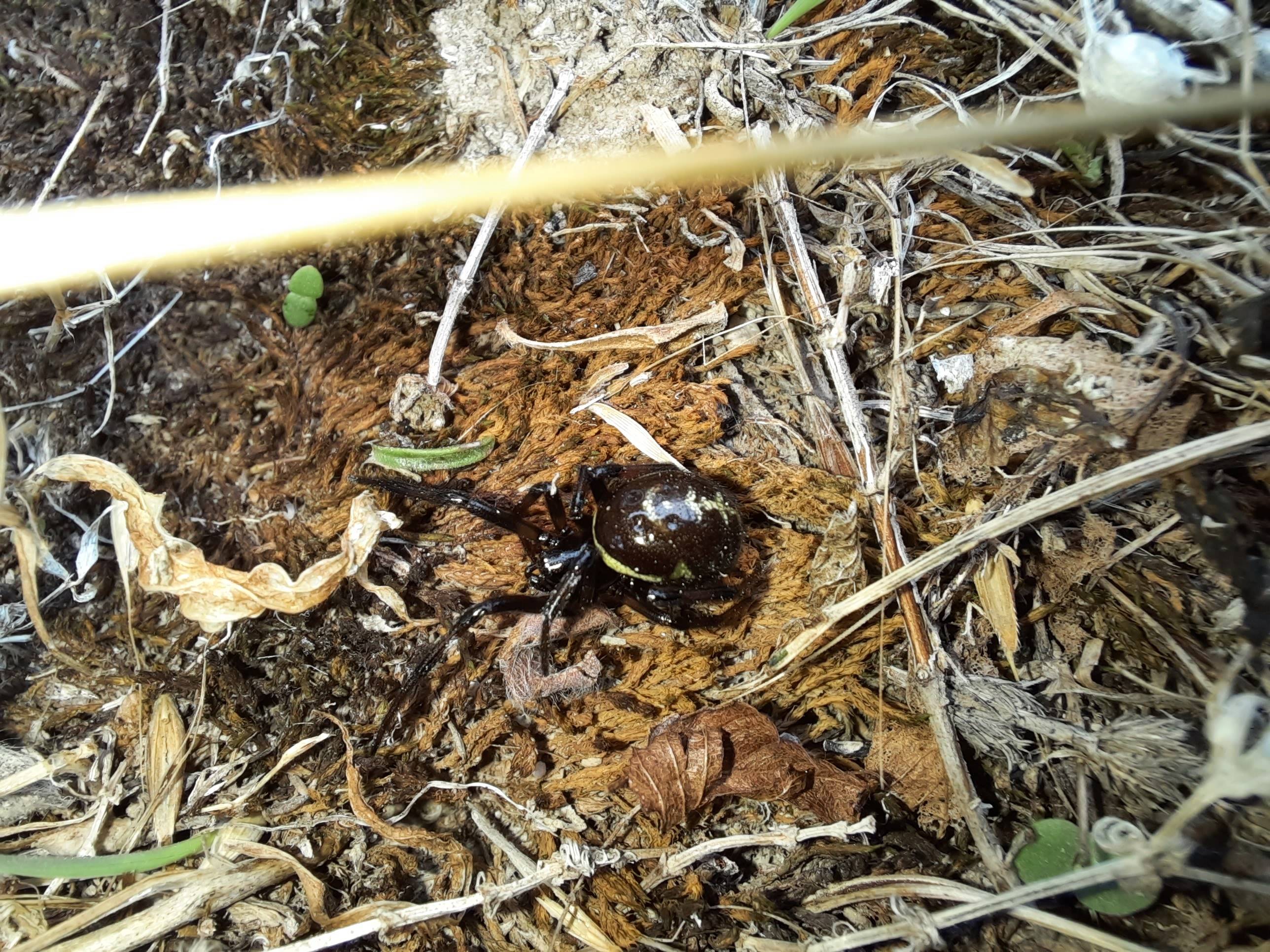 Faunareise Montenegro Impression 35