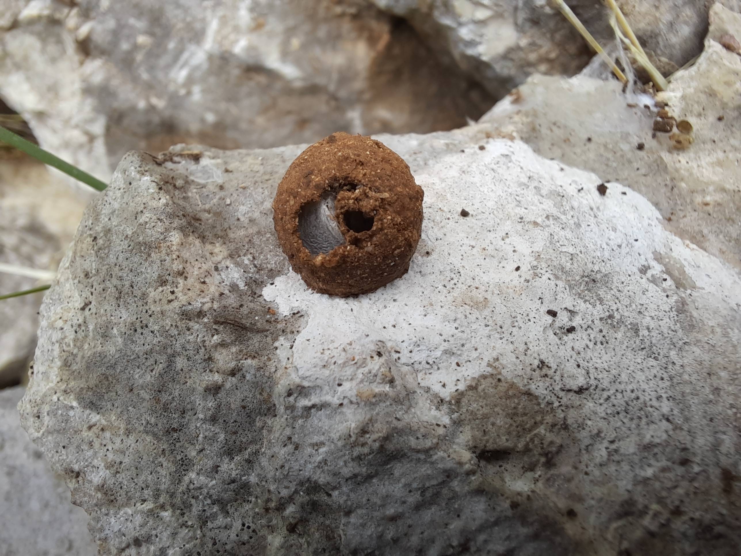 Faunareise Montenegro Impression 36