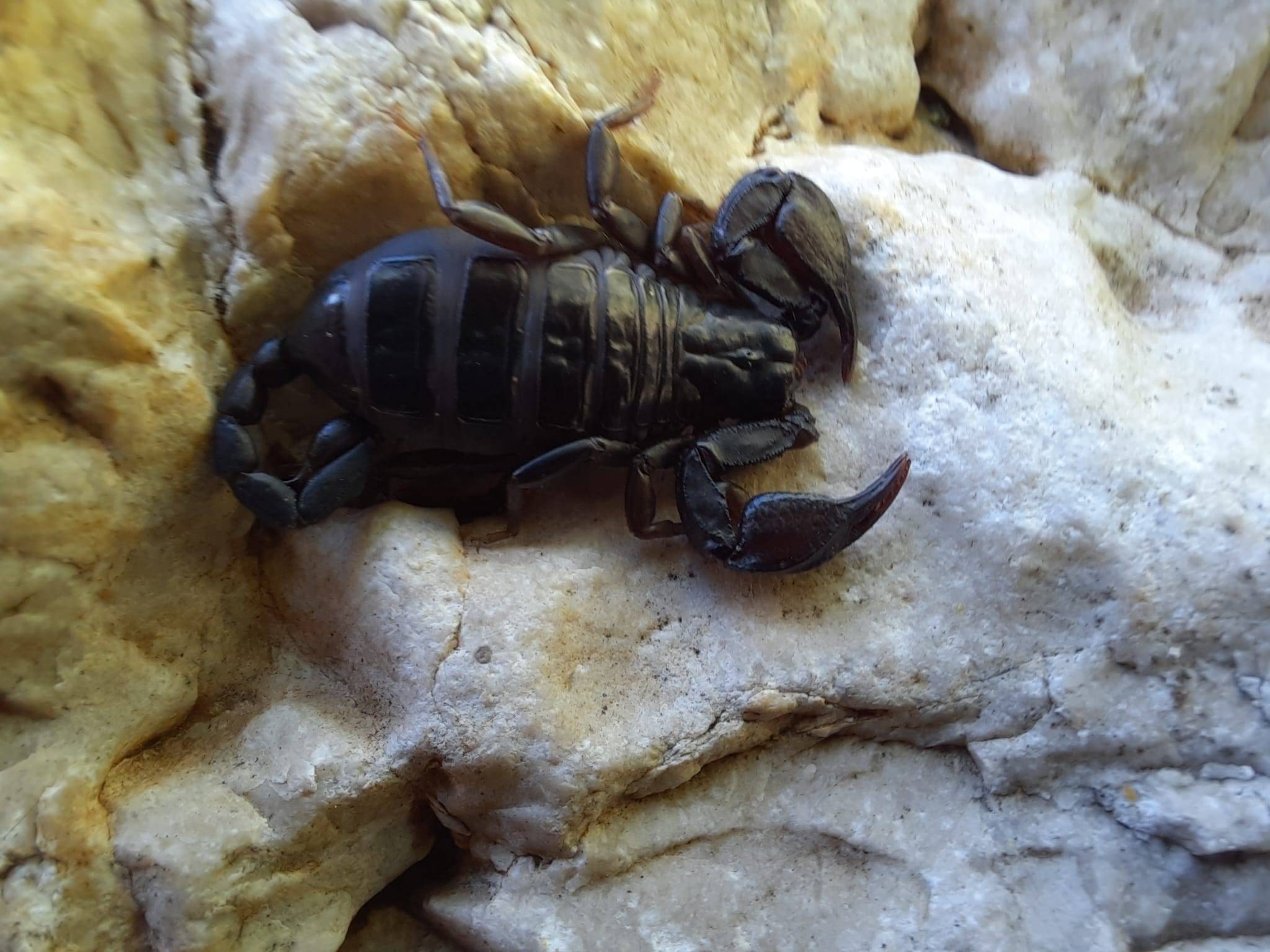 Faunareise Montenegro Impression 40