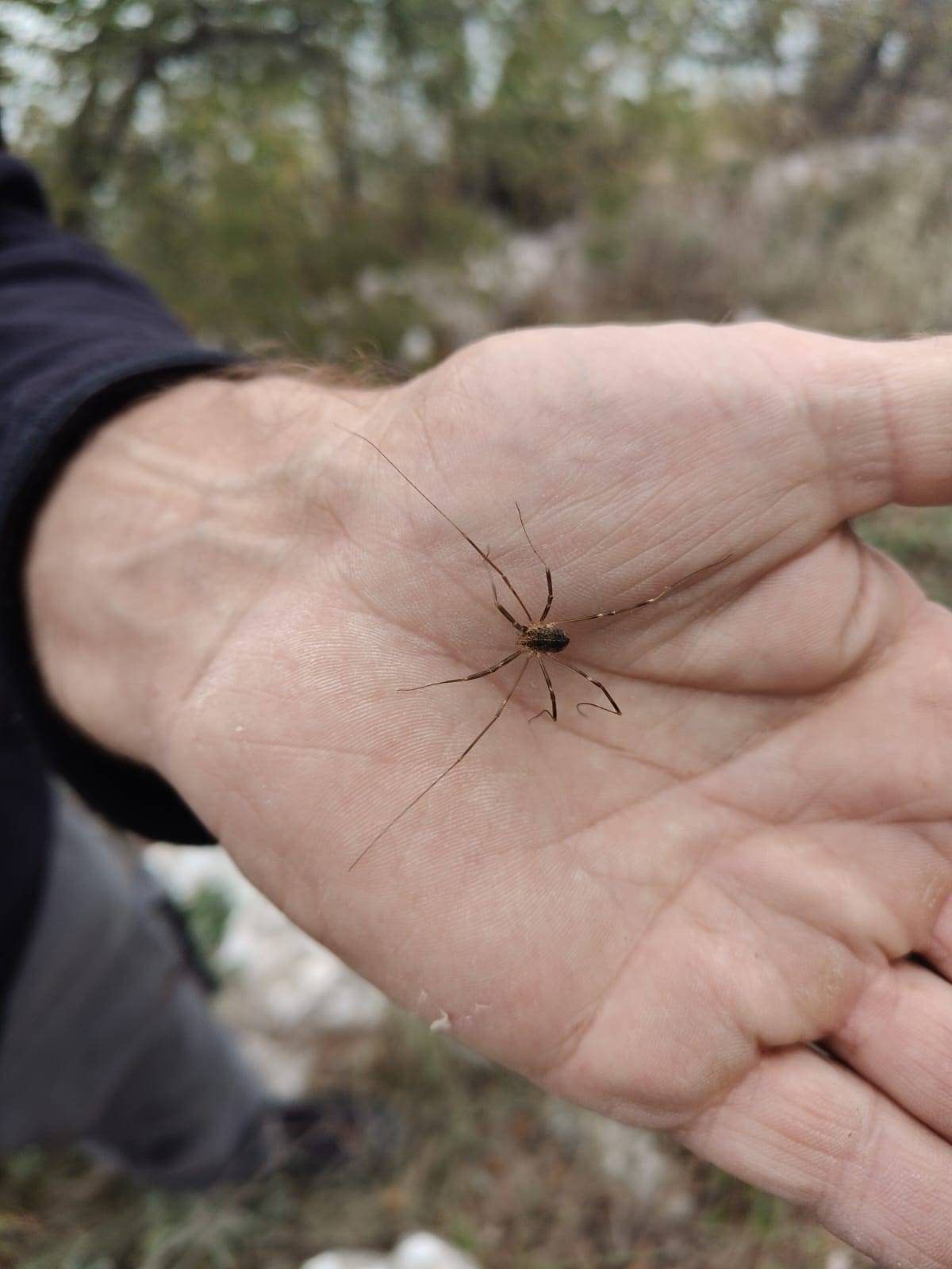 Faunareise Montenegro Impression 41