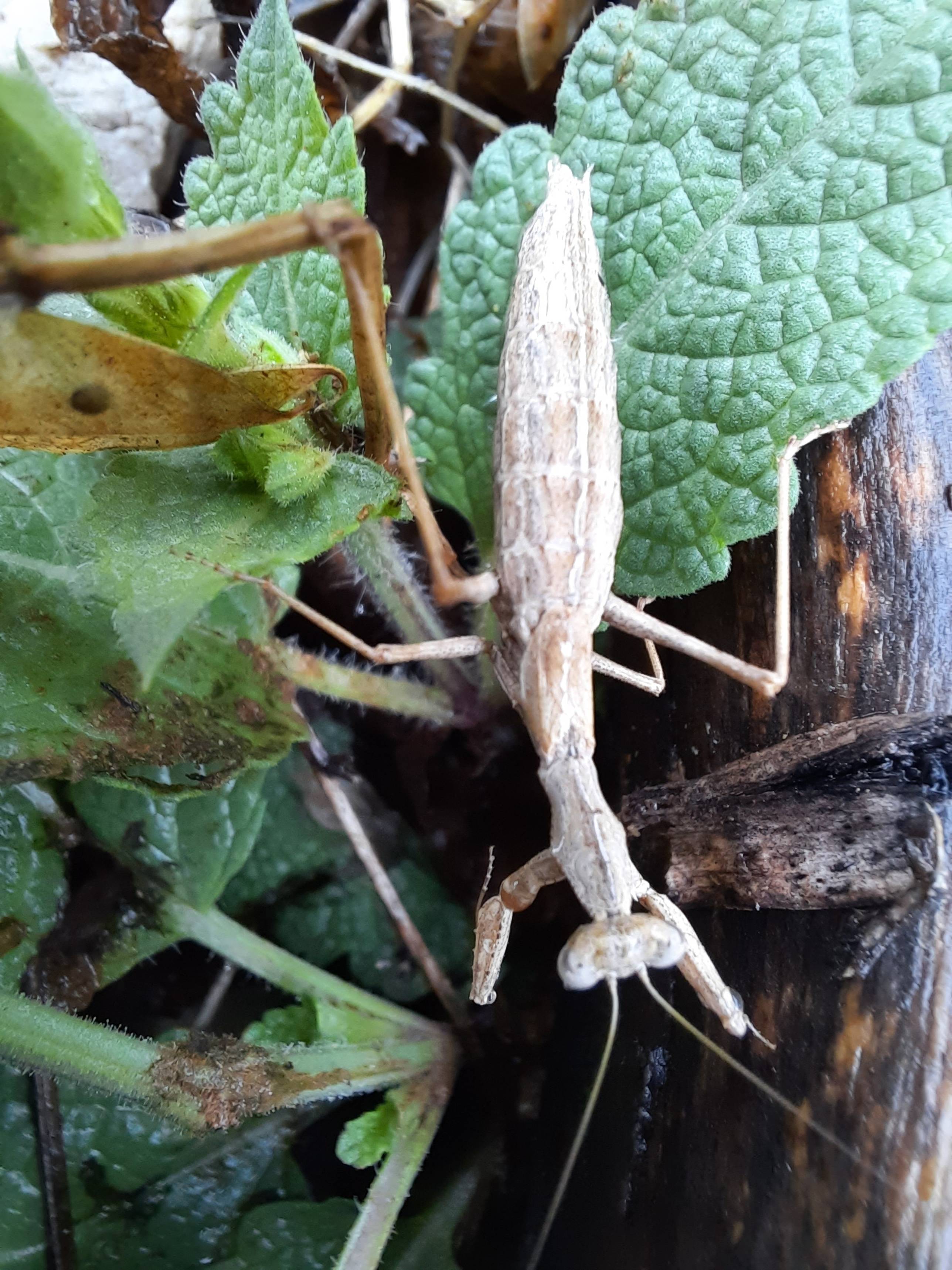 Faunareise Montenegro Impression 42