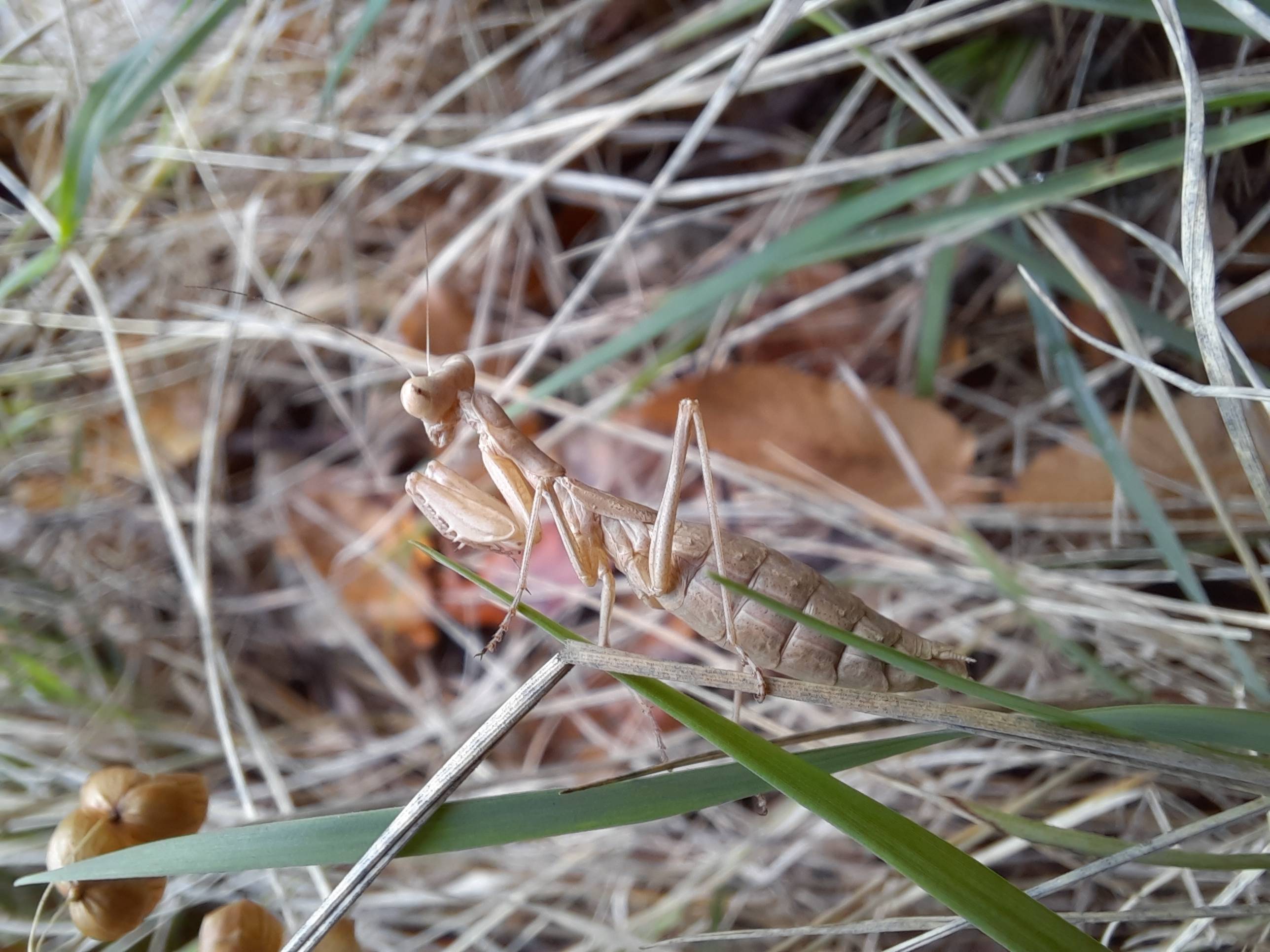 Faunareise Montenegro Impression 45