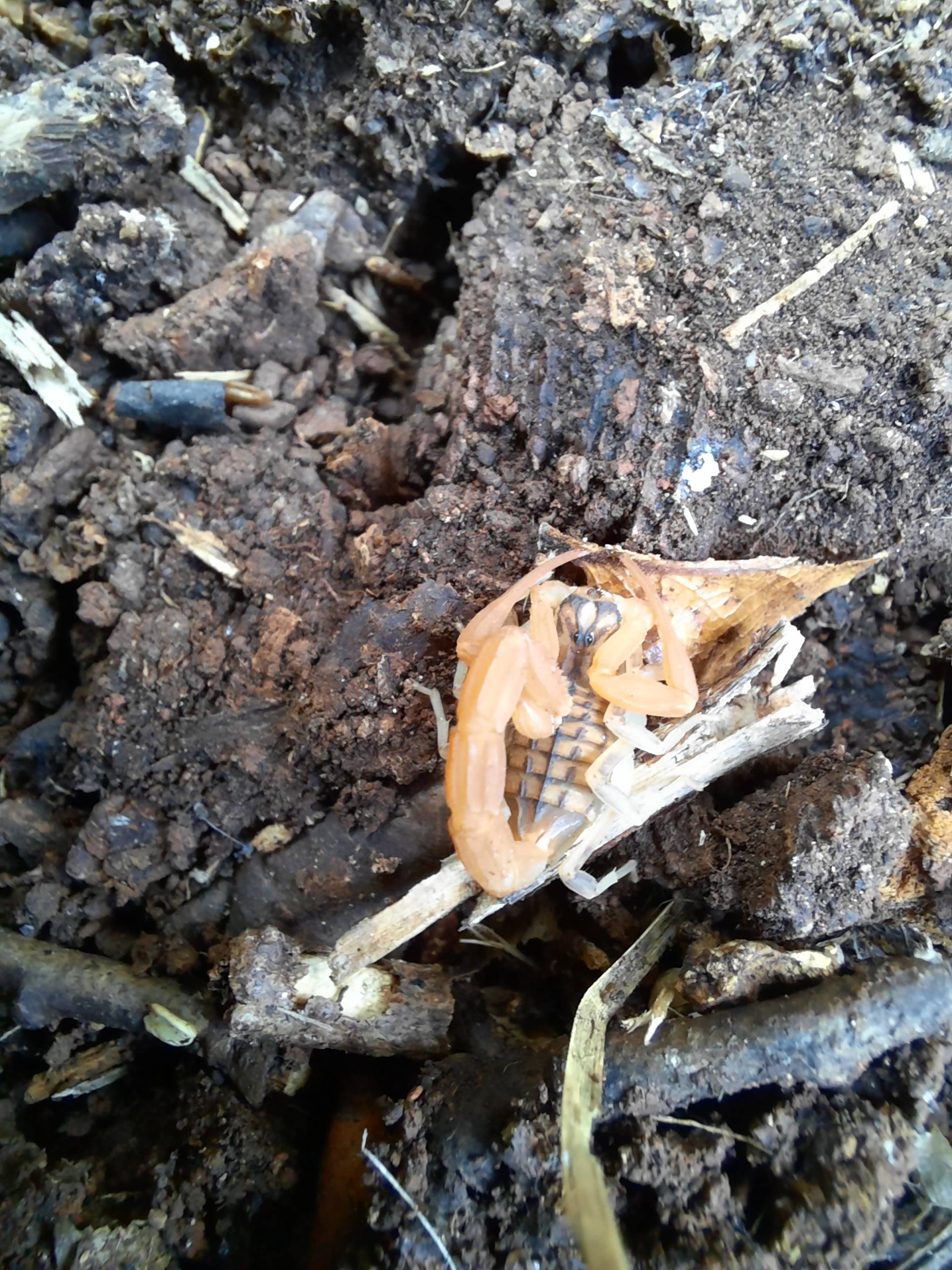 Faunareise Montenegro Impression 46