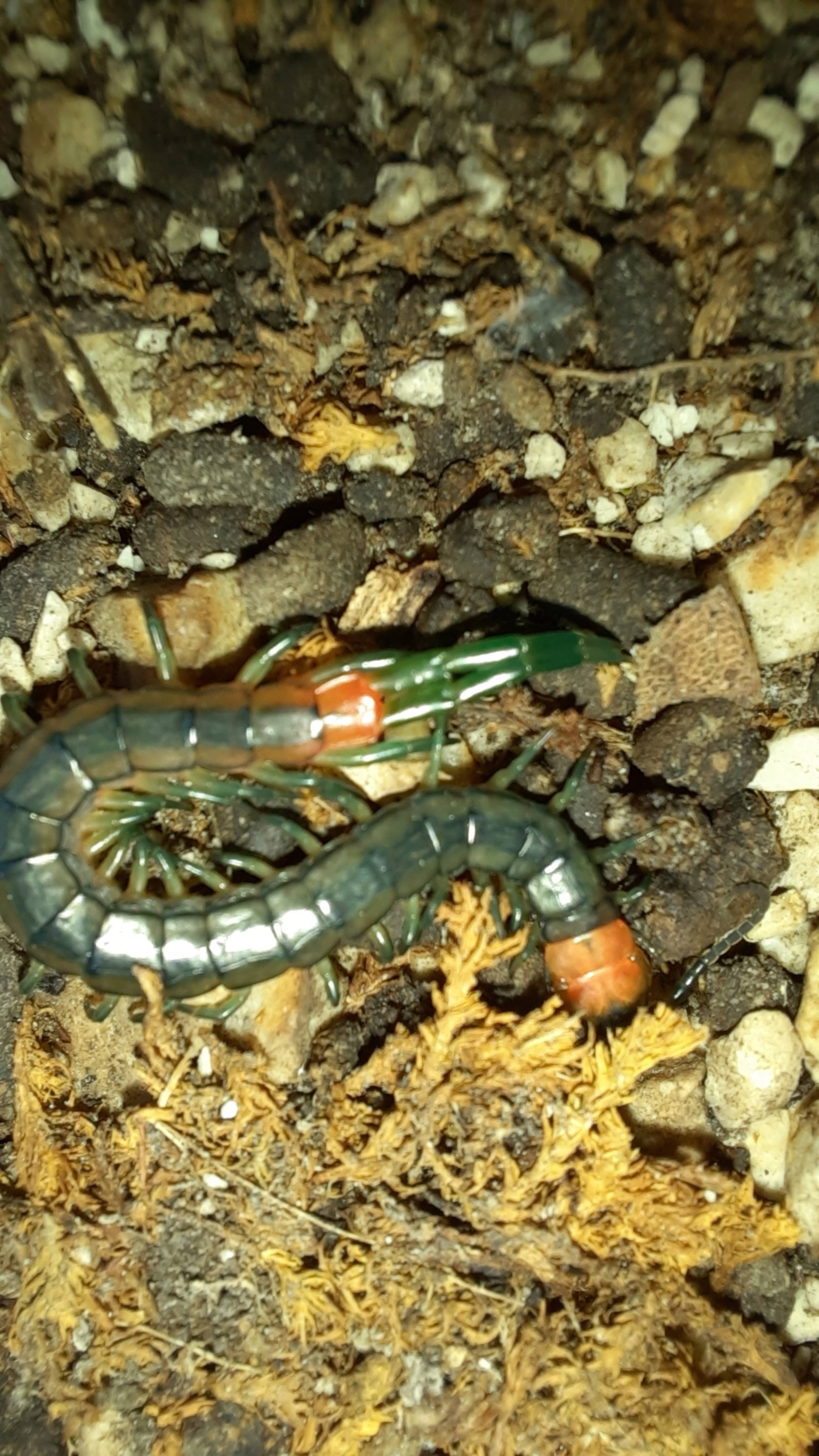 Faunareise Montenegro Impression 49