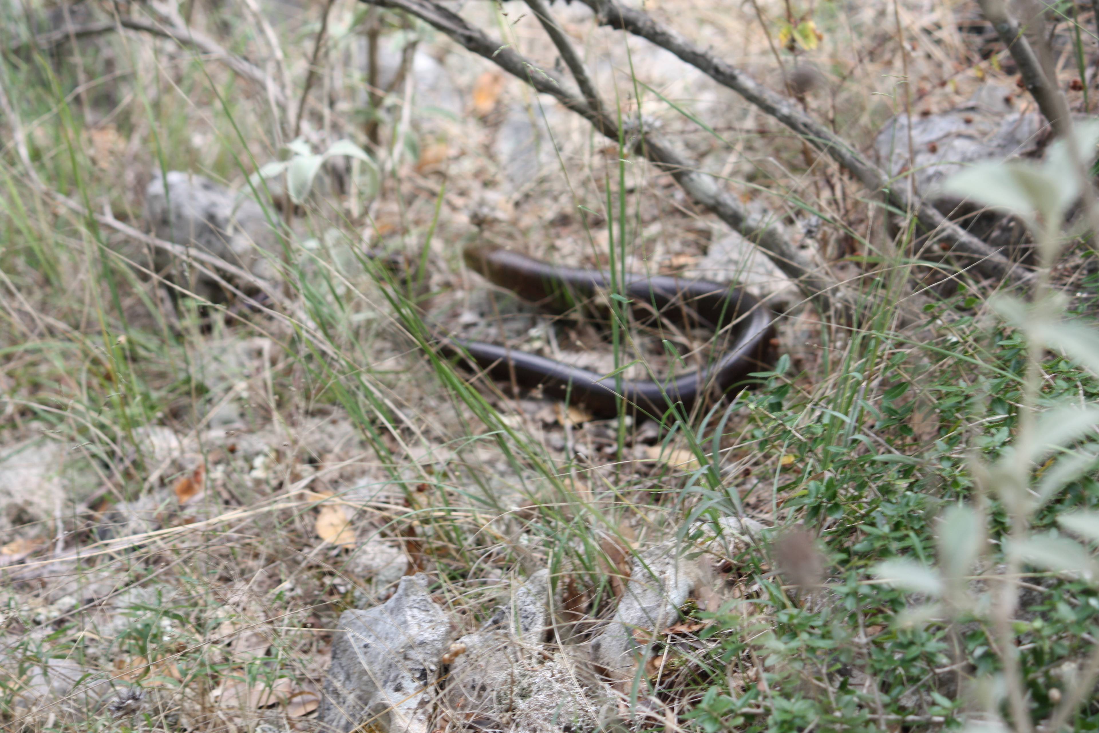 Faunareise Montenegro Impression 5