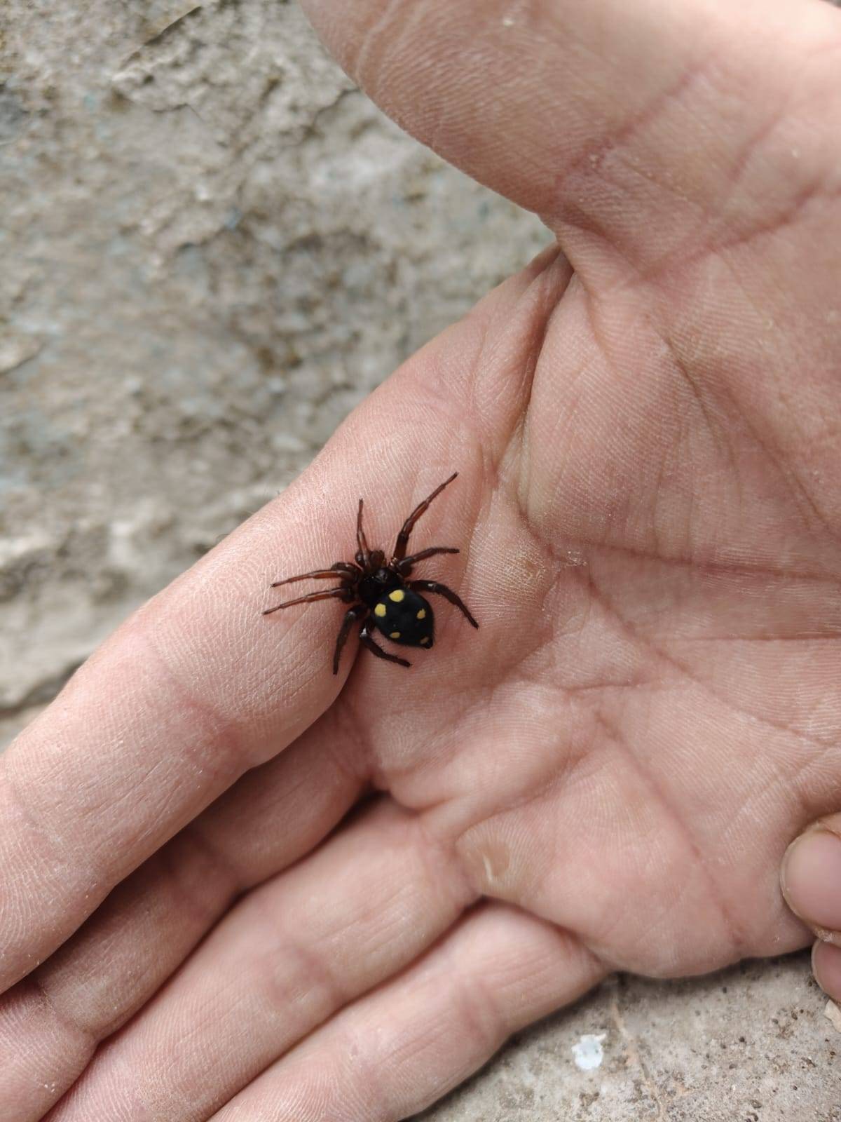 Faunareise Montenegro Impression 51