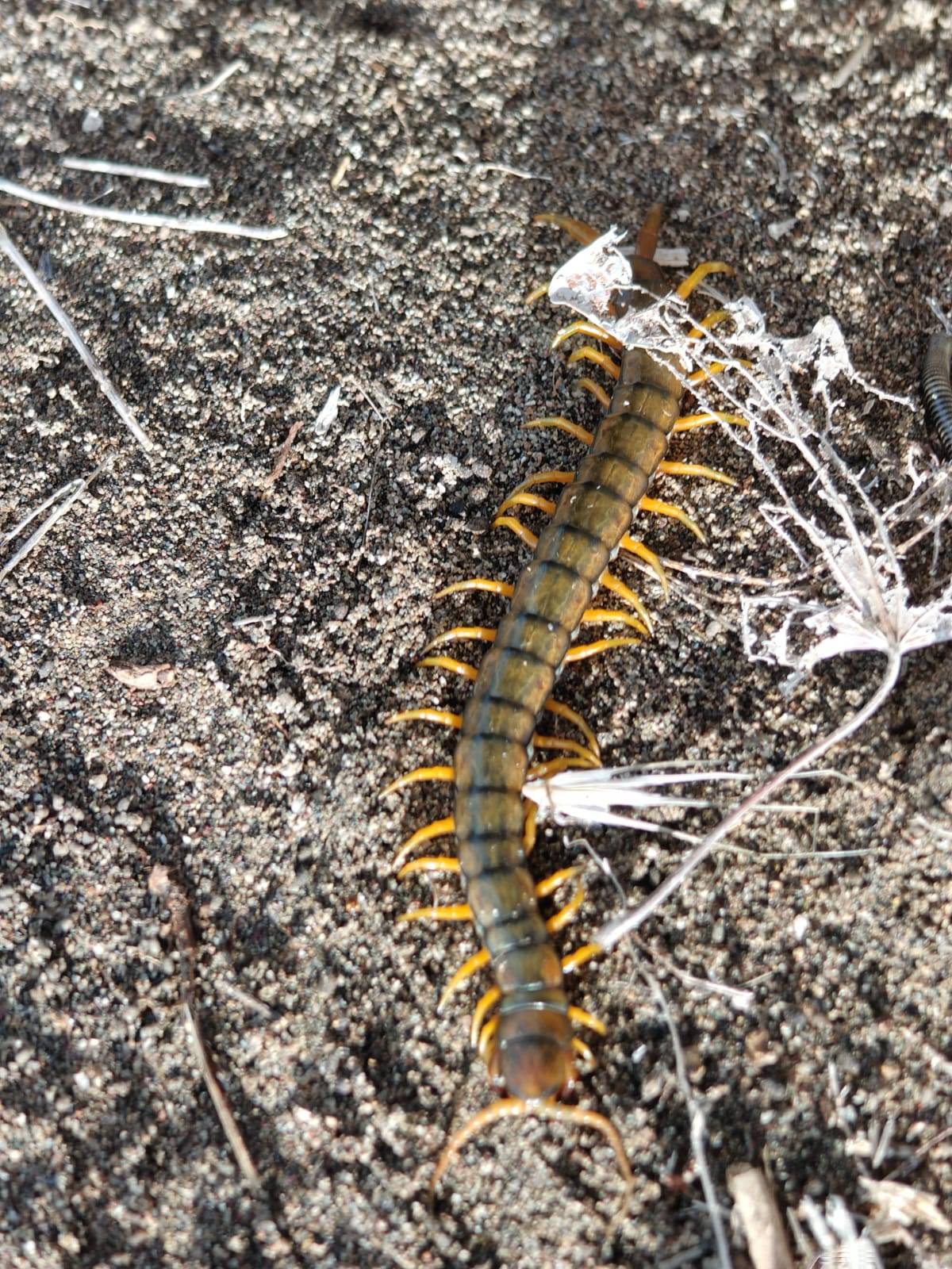 Faunareise Montenegro Impression 54