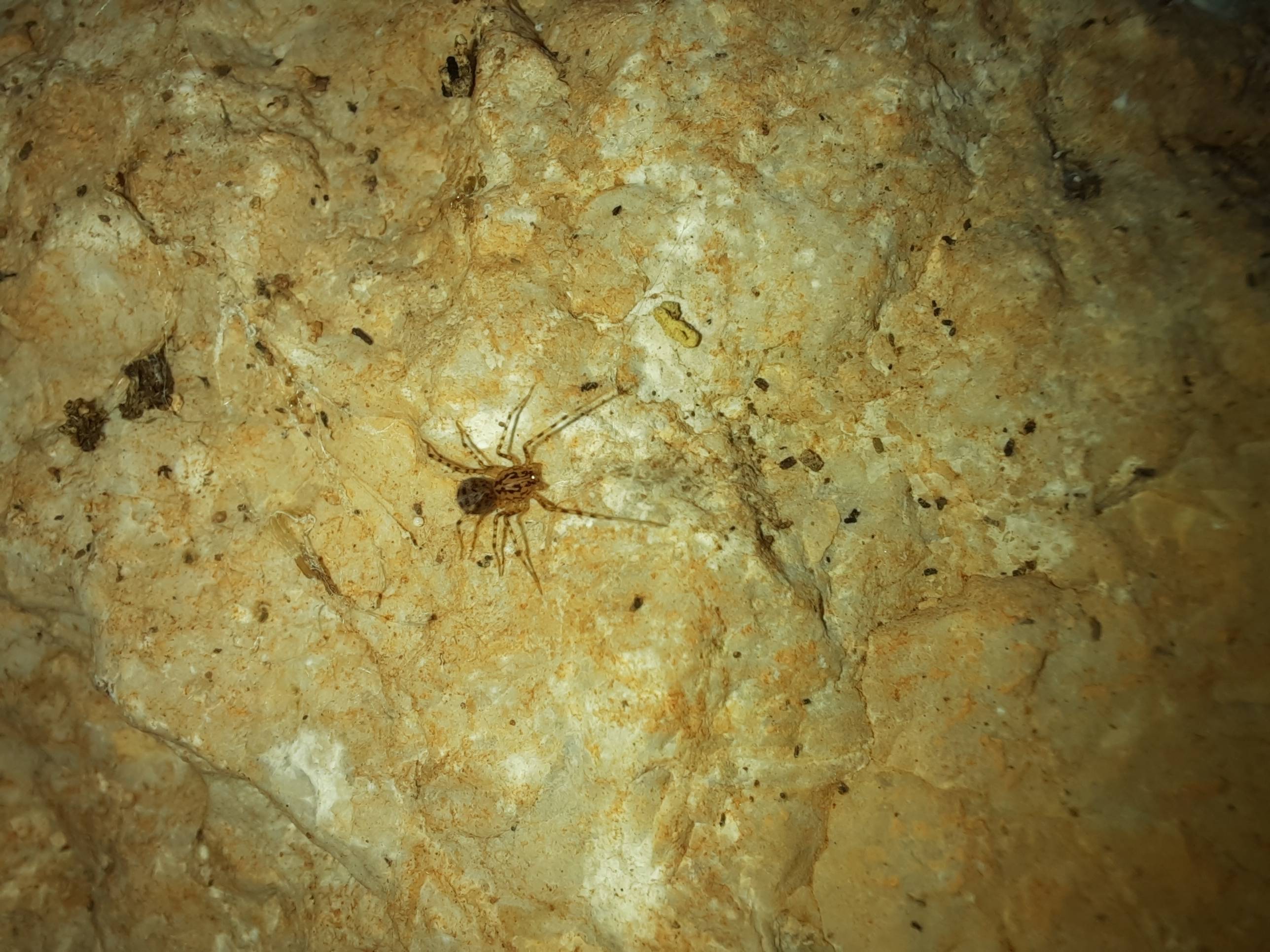 Faunareise Montenegro Impression 55