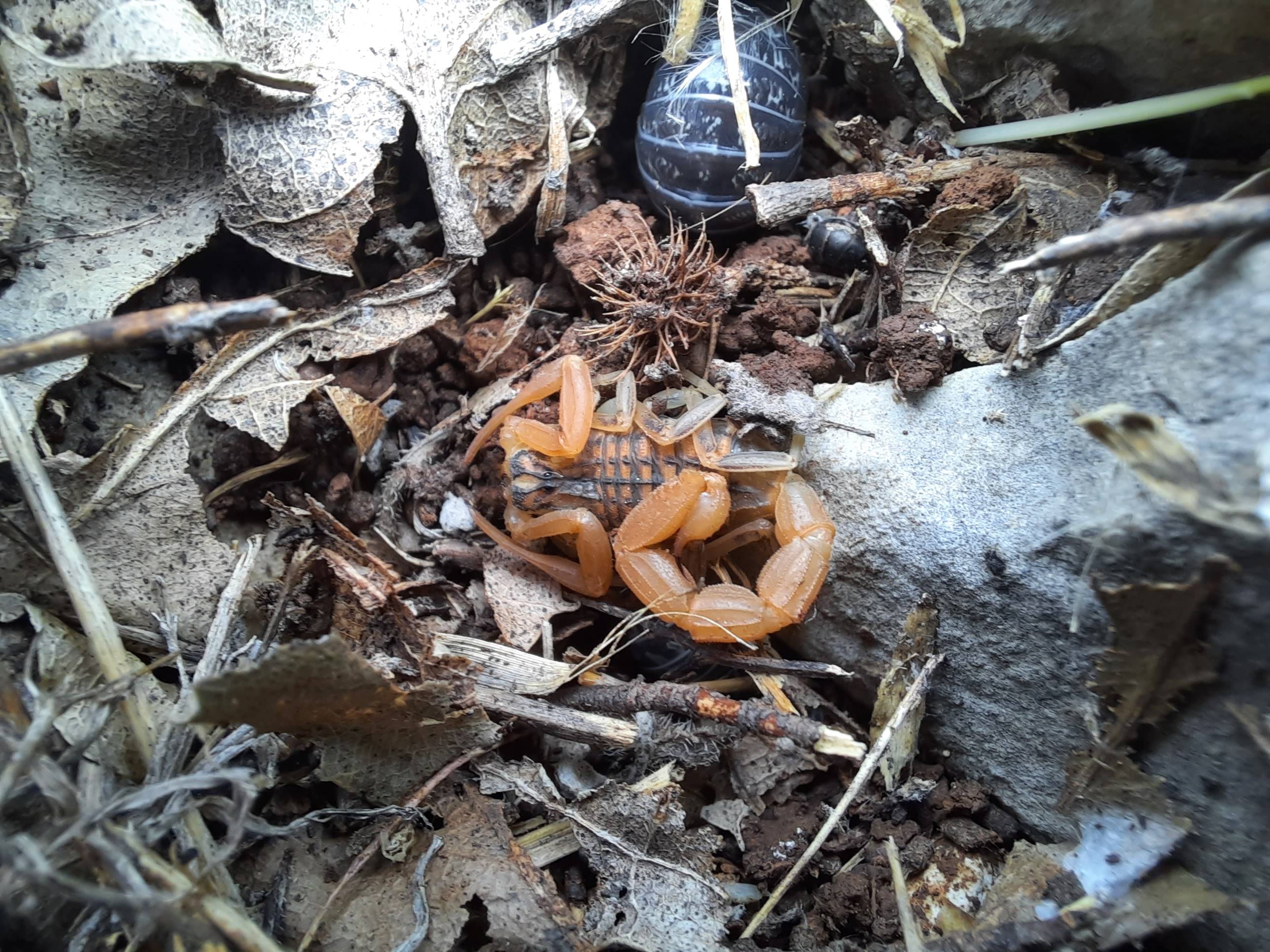 Faunareise Montenegro Impression 6