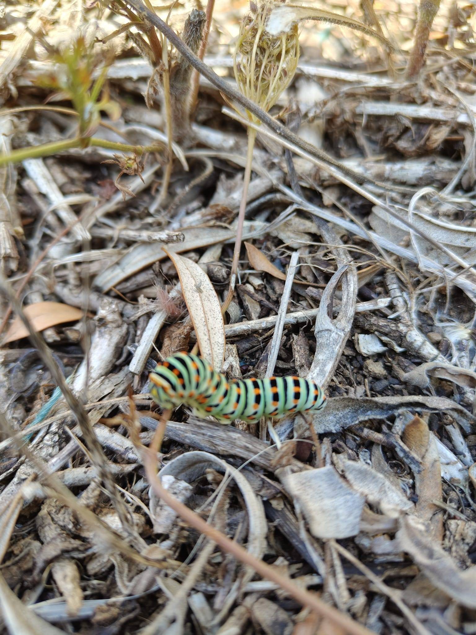 Faunareise Montenegro Impression 60