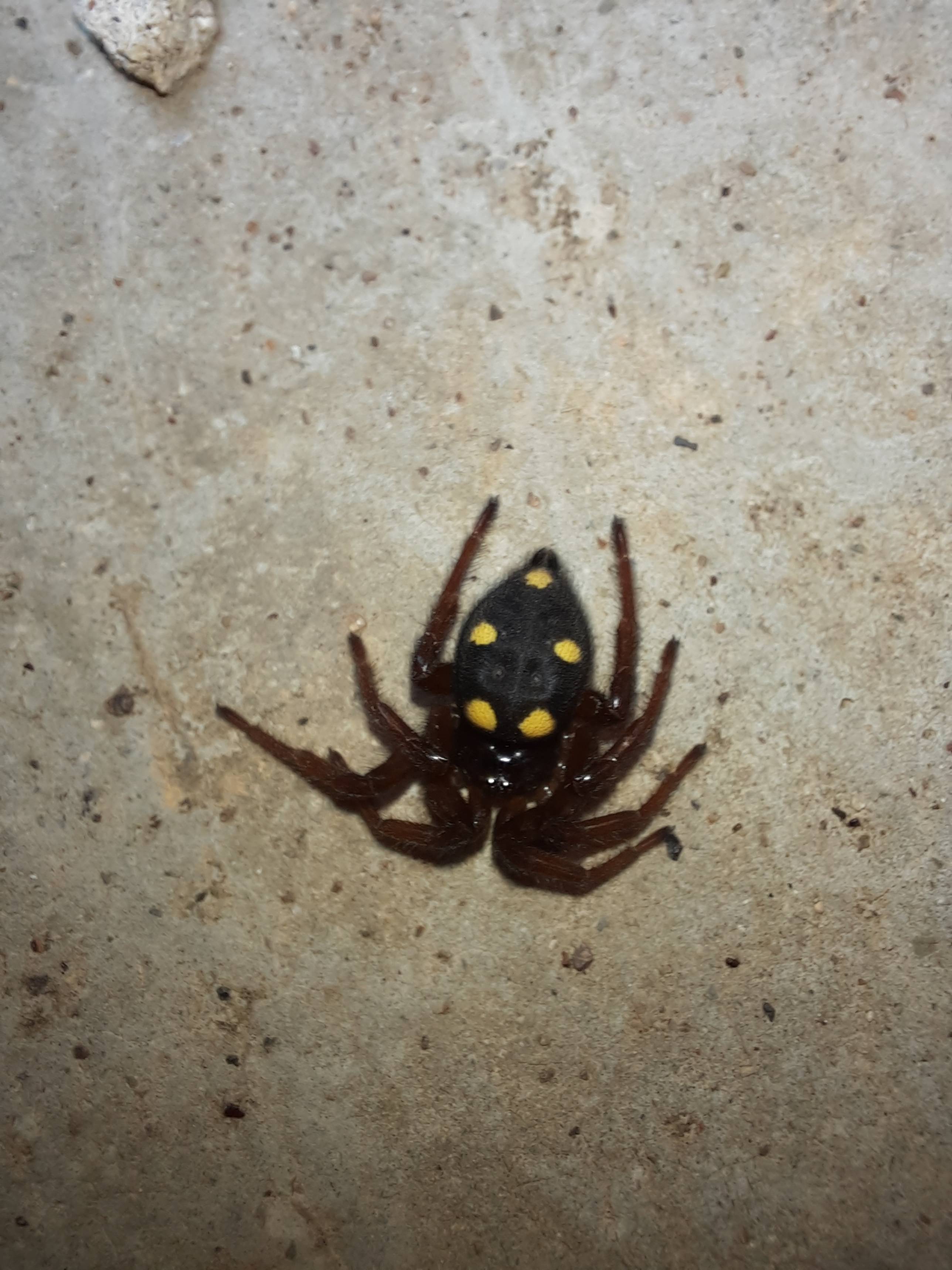 Faunareise Montenegro Impression 62