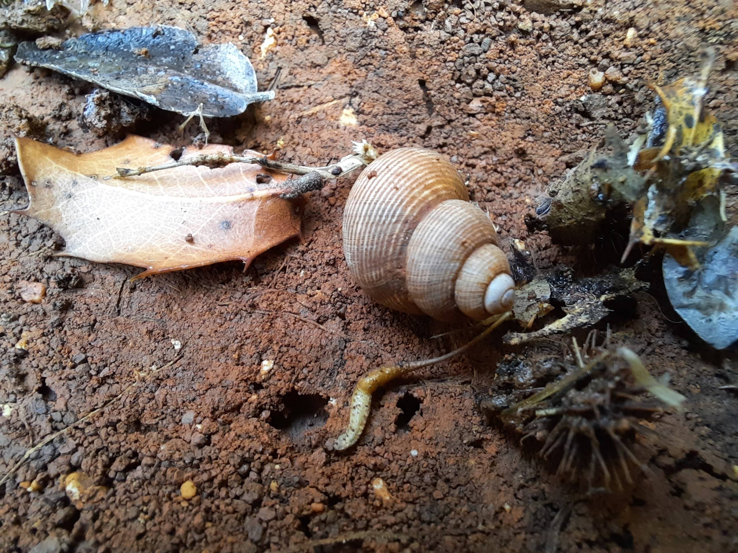 Faunareise Montenegro Impression 63