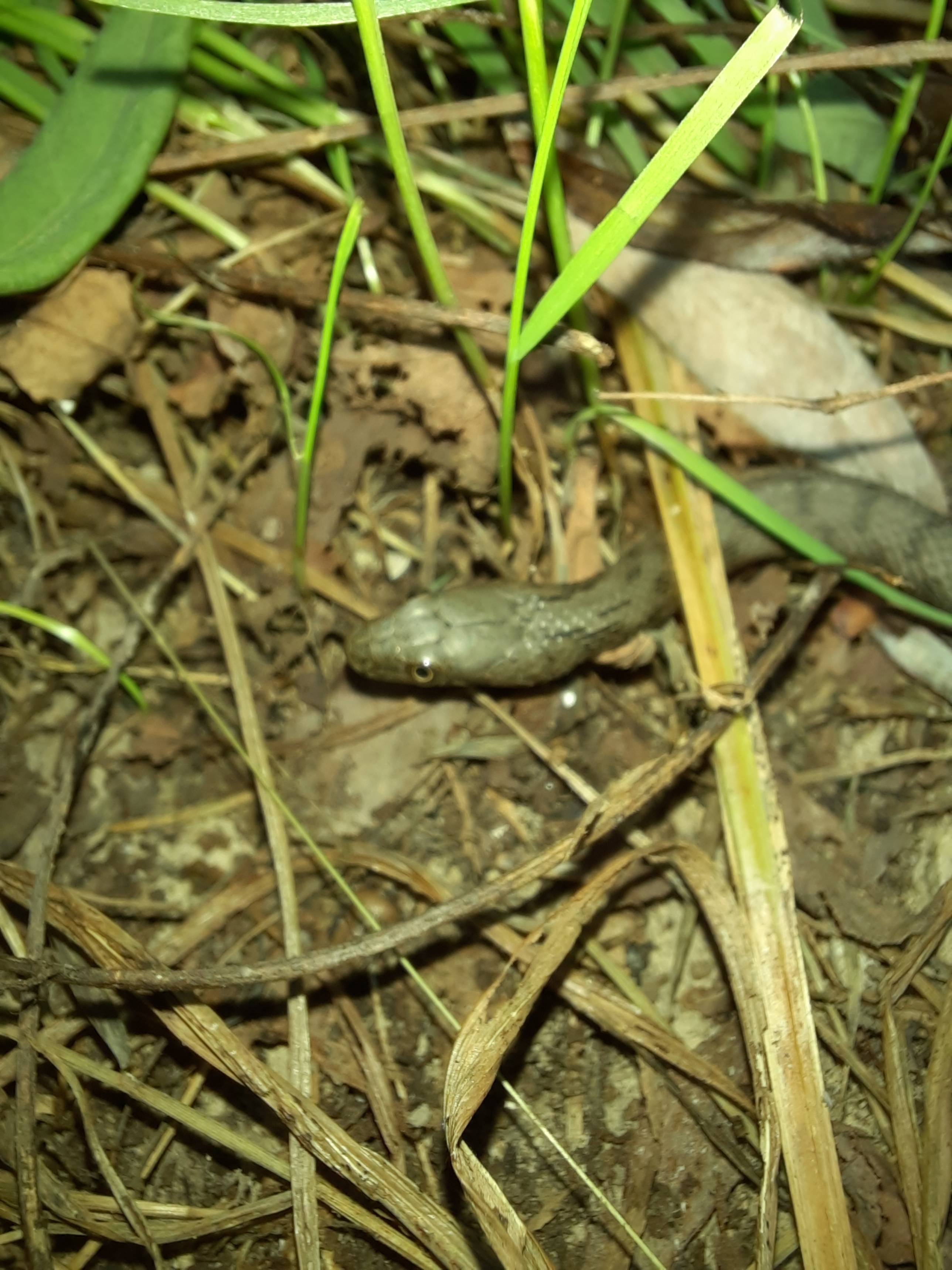 Faunareise Montenegro Impression 66