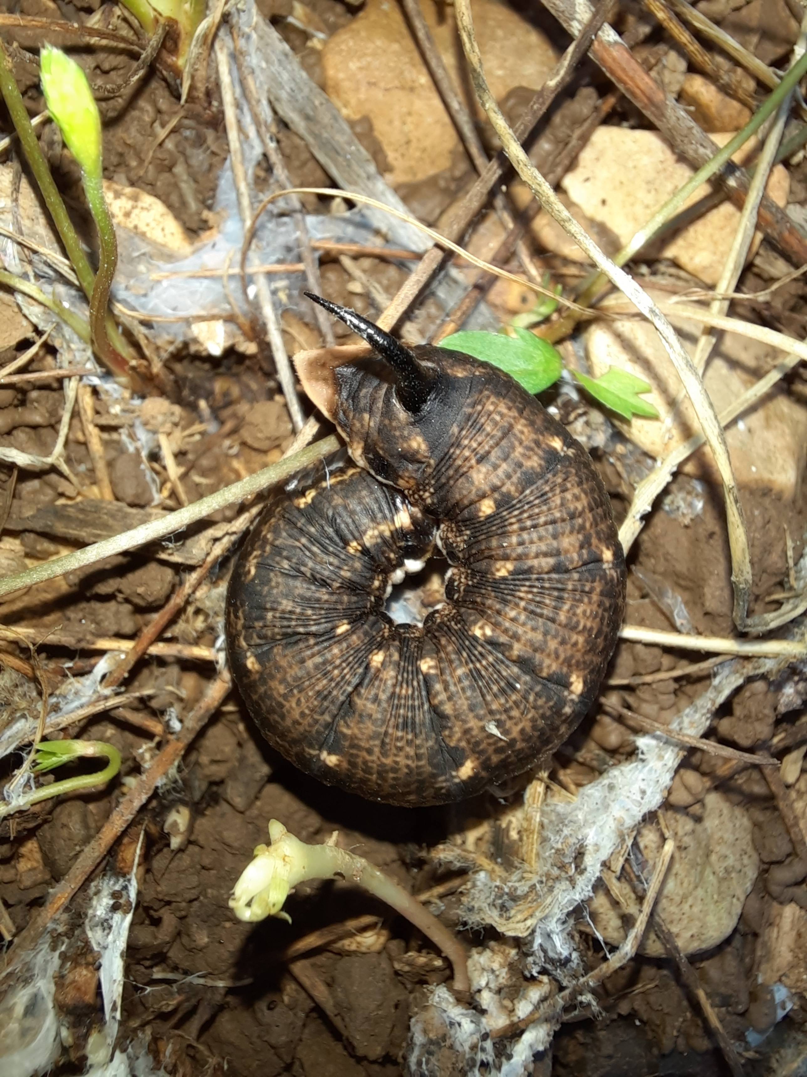 Faunareise Montenegro Impression 68