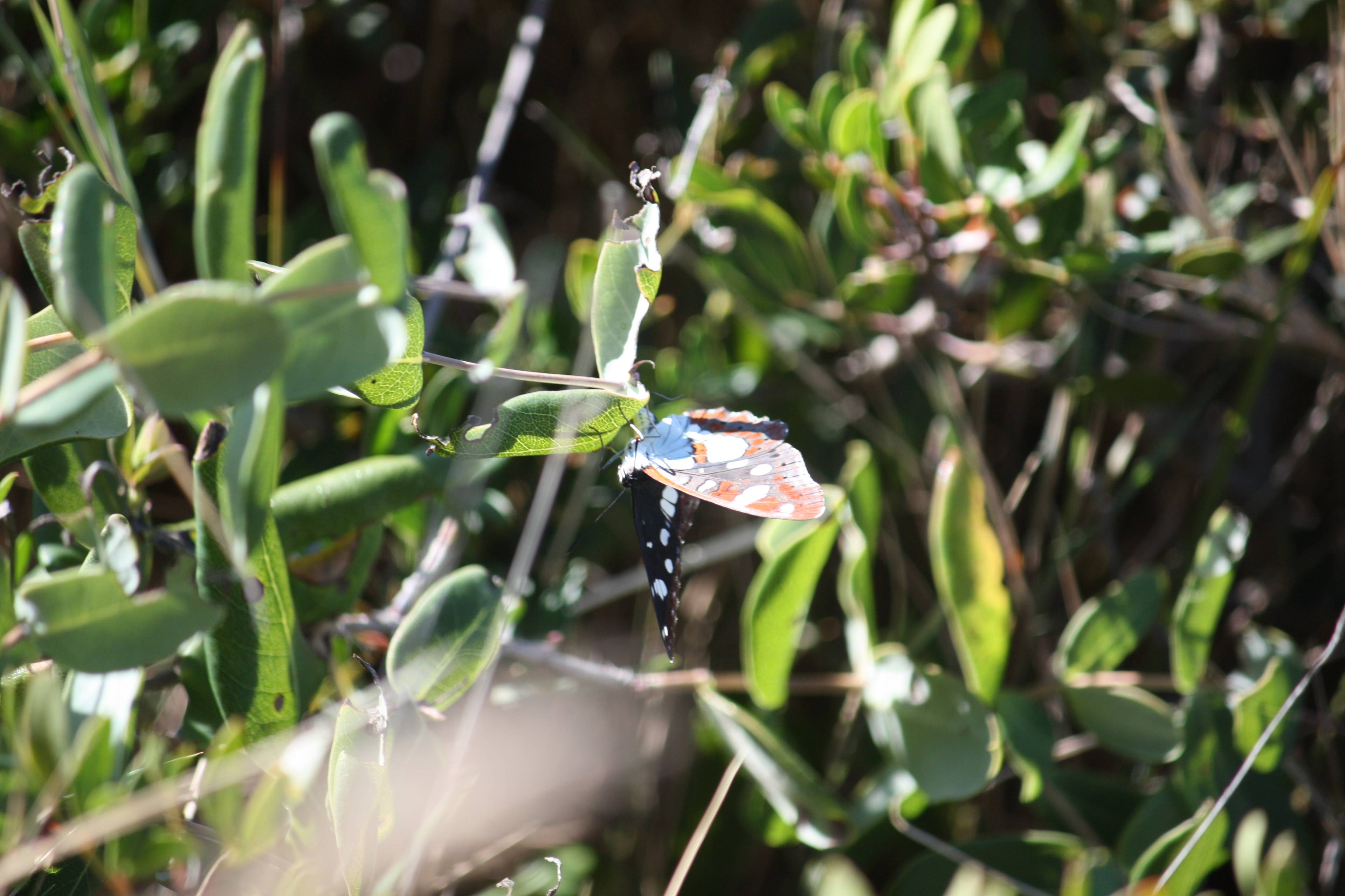 Faunareise Montenegro Impression 77