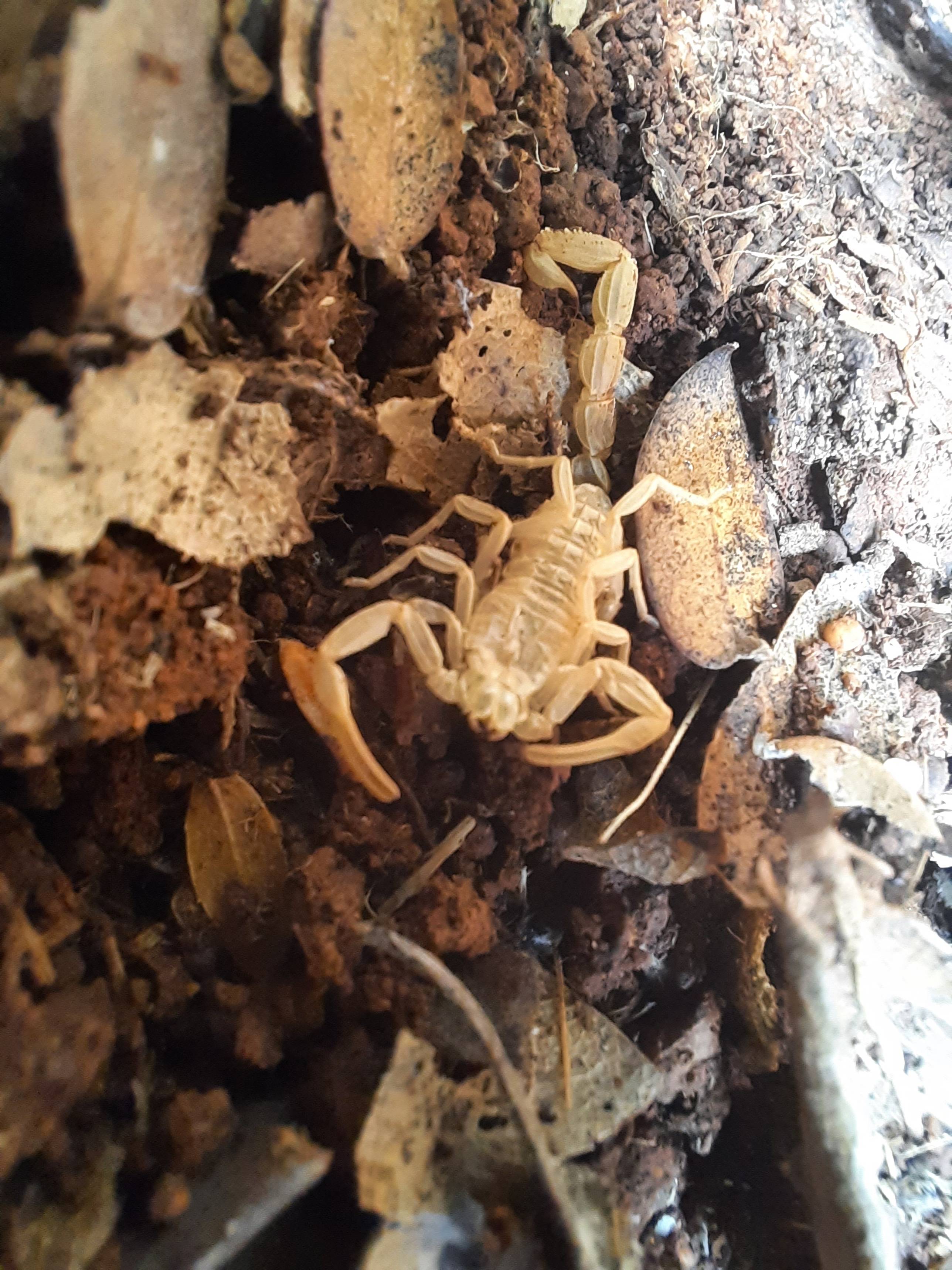 Faunareise Montenegro Impression 79