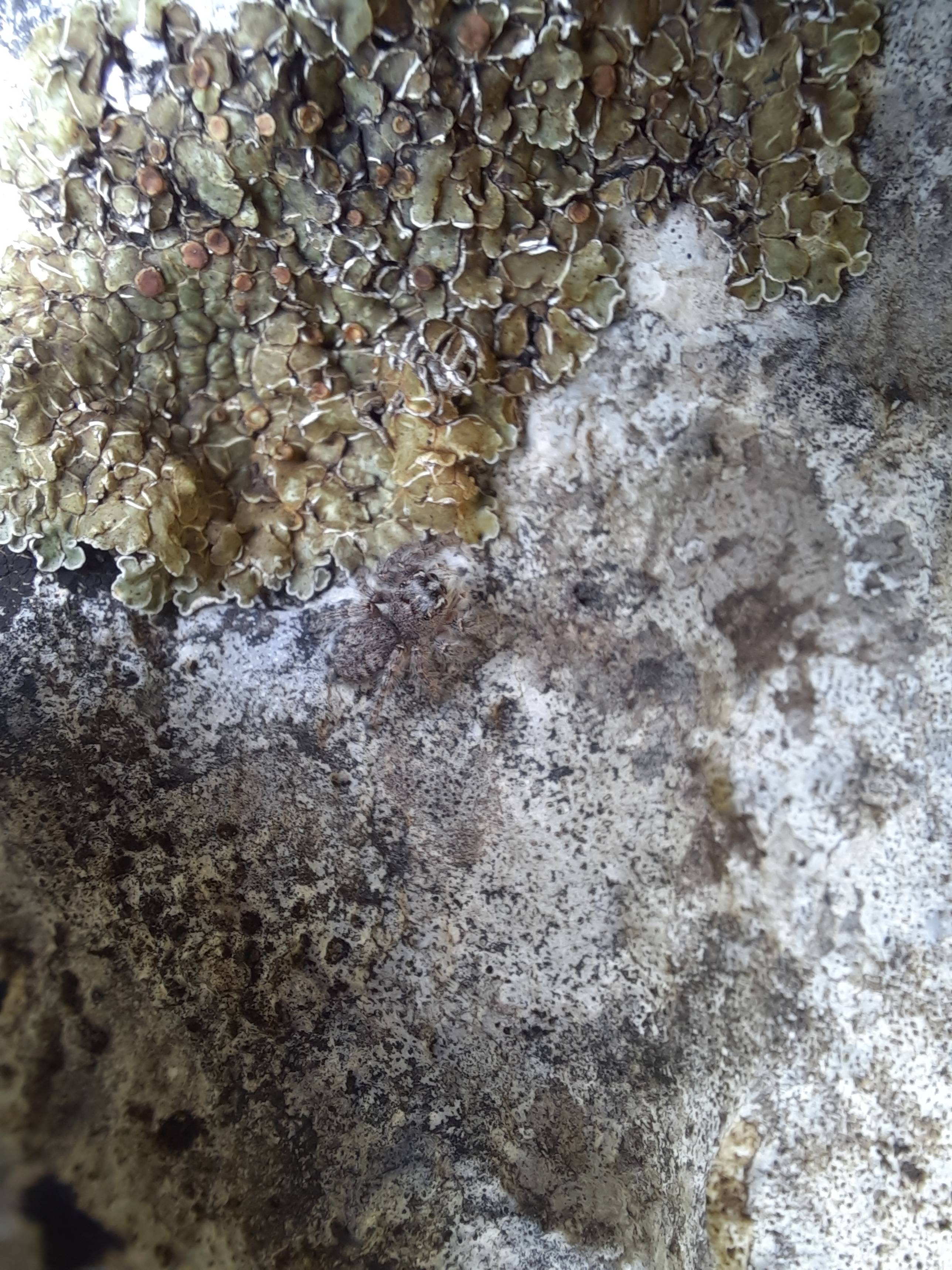 Faunareise Montenegro Impression 82