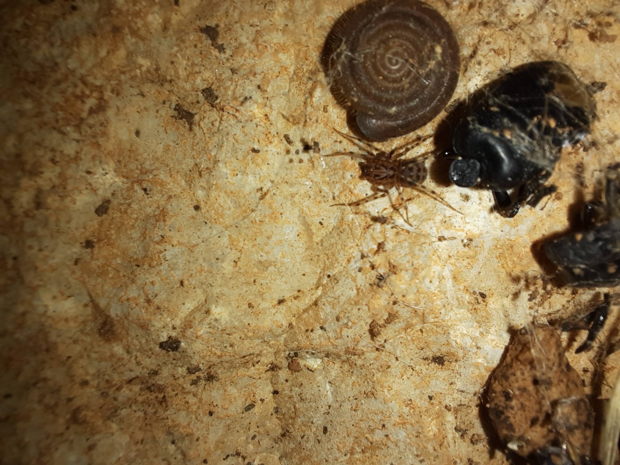 Faunareise Montenegro Impression 84