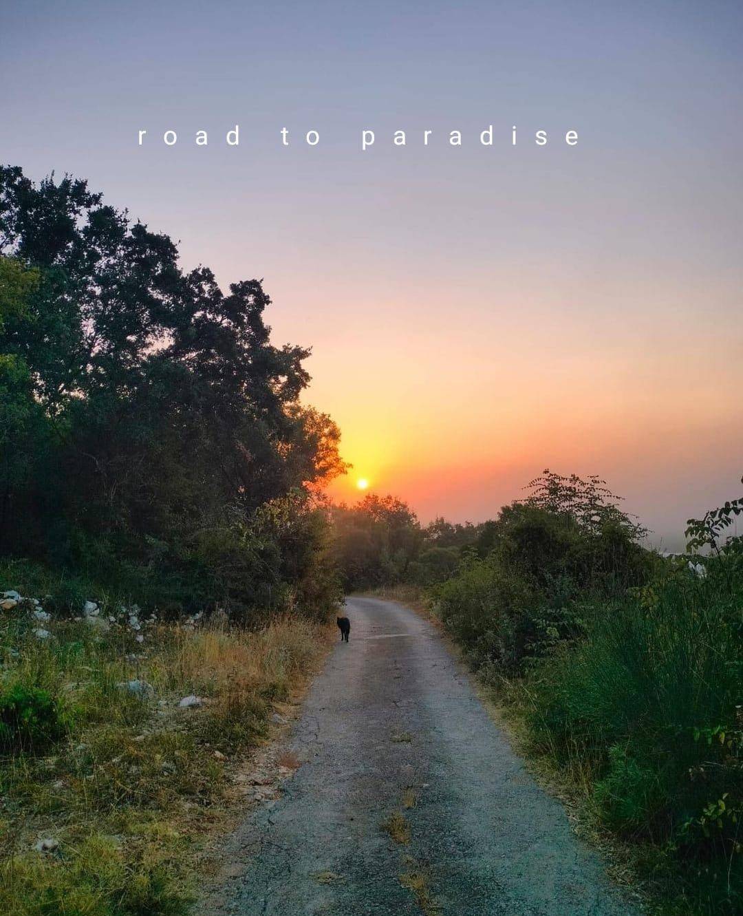 Solanas View Impression 23