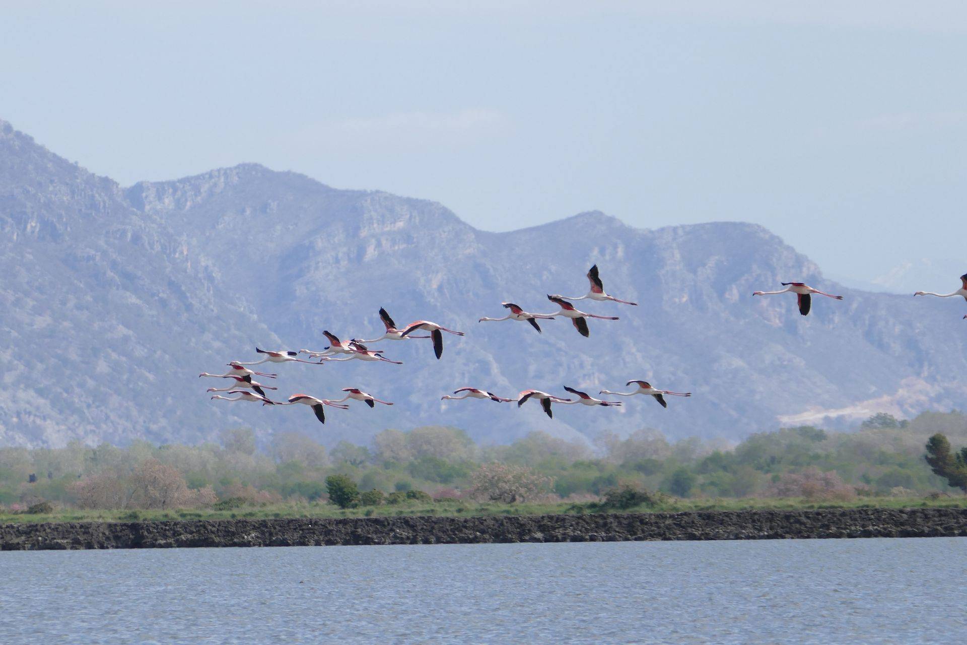 Solanas View Impression 45