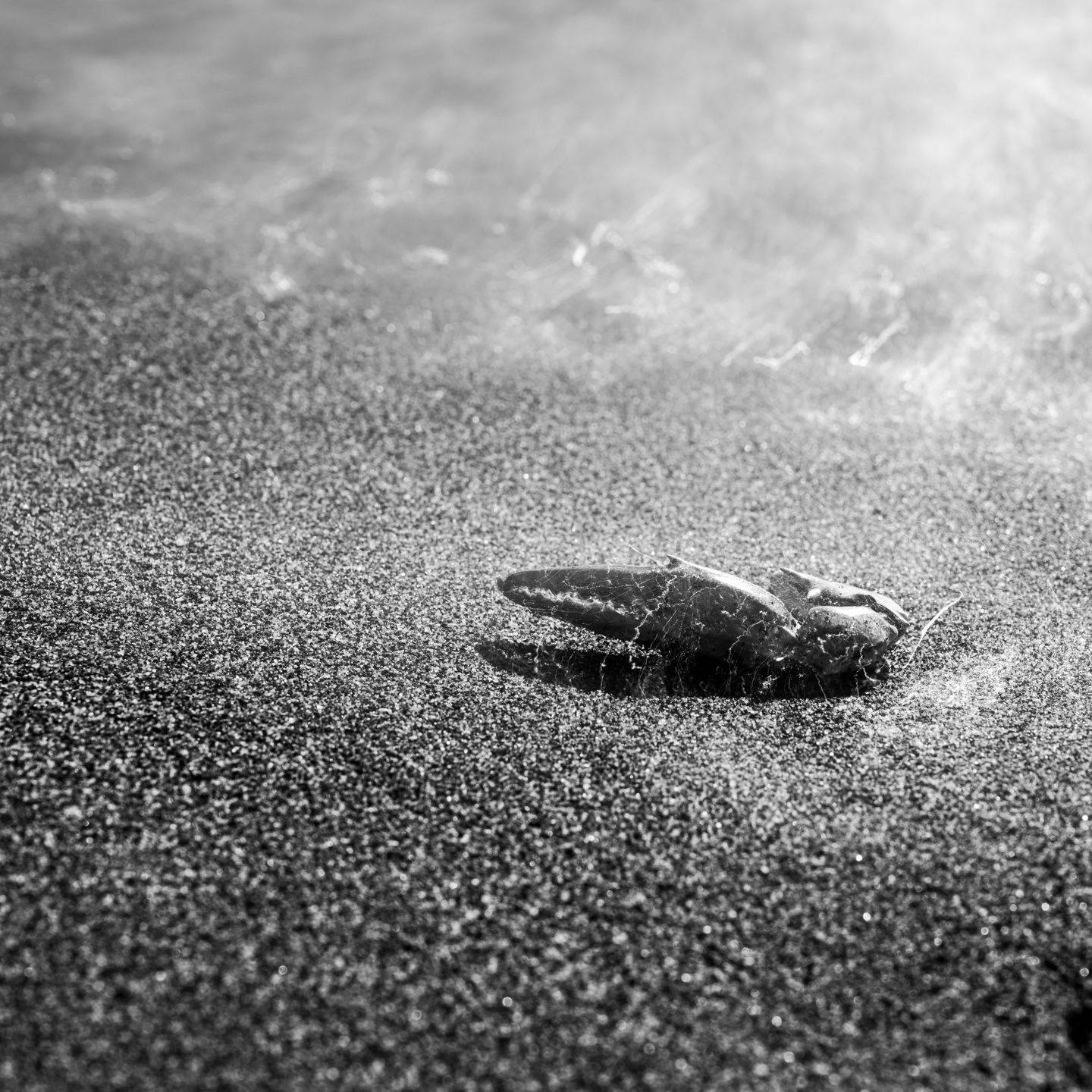 Fotoreise Montenegro Impression 47